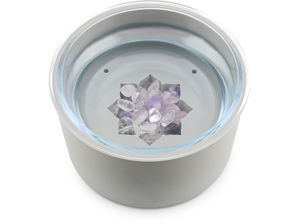 grey pet bowl