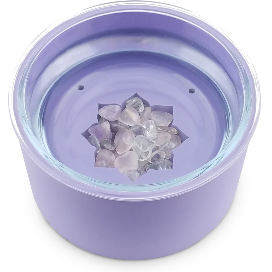 purple pet water bowl