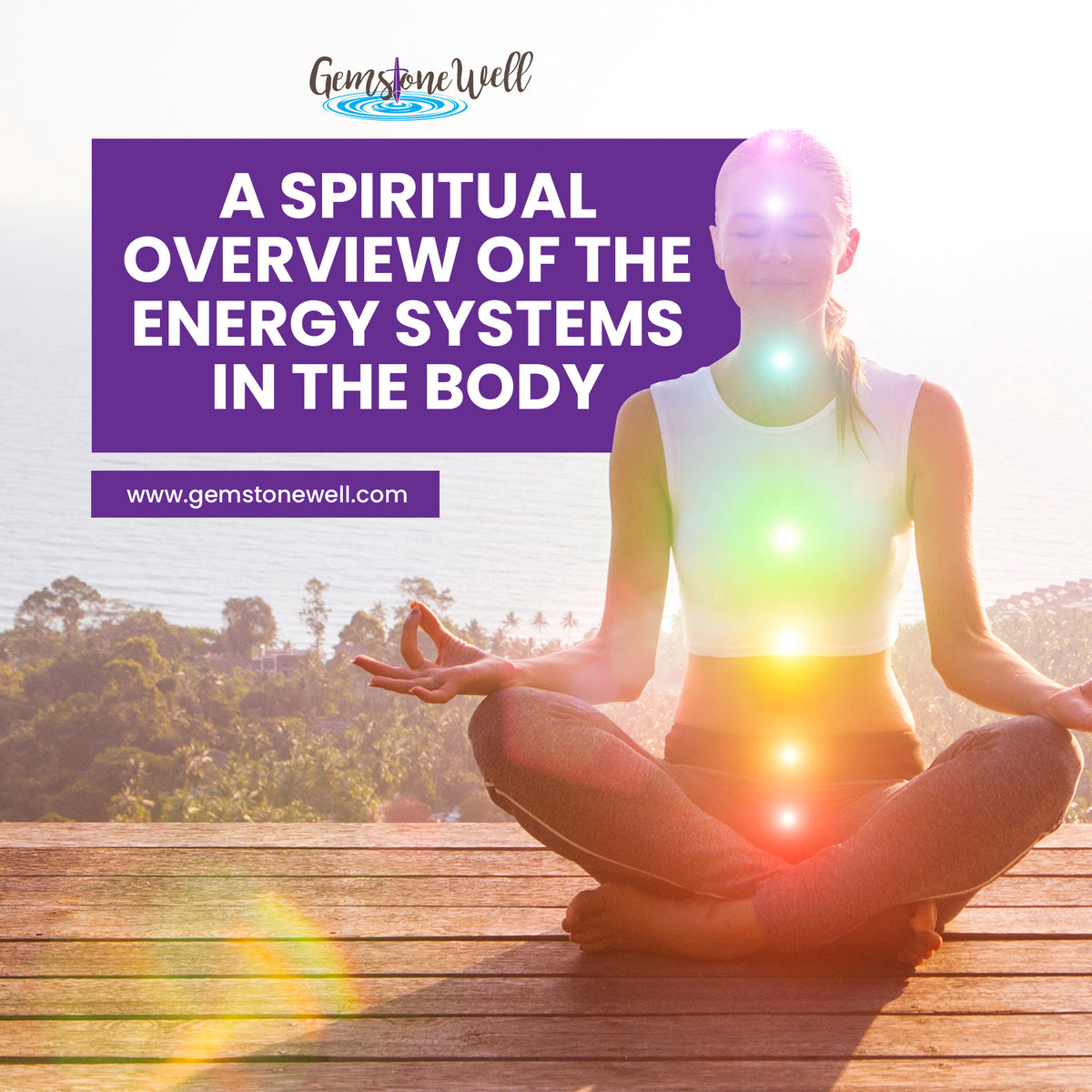 energy systems within the body