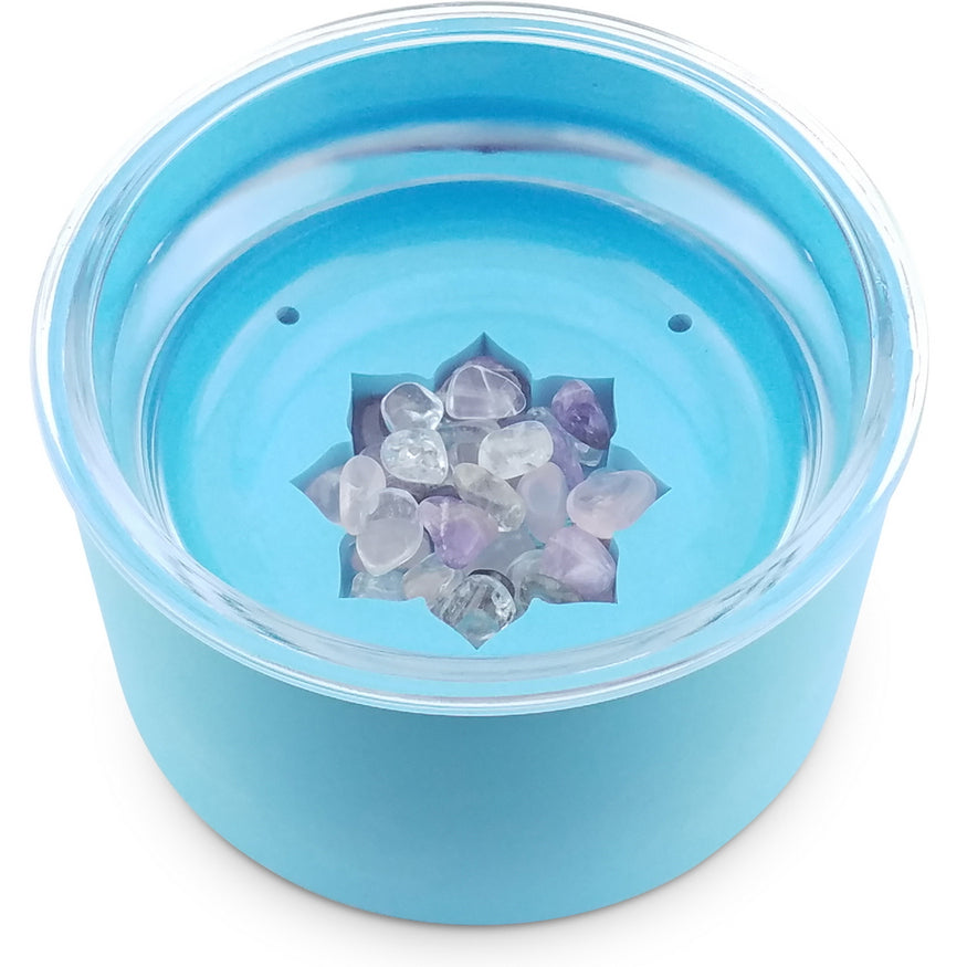 blue pet water bowl