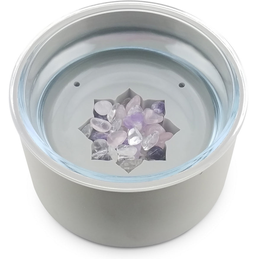 grey pet water bowl